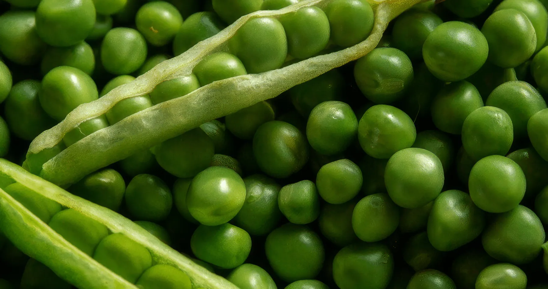 Pinstone are hap-pea to support Great British Pea Week 2023