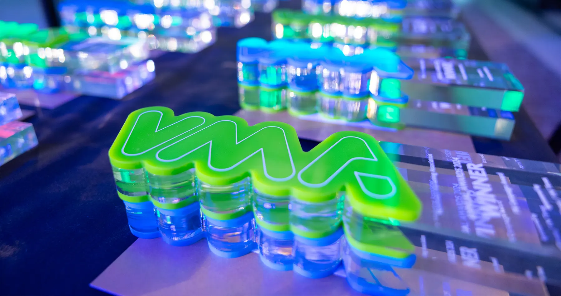 An award-winning experience to remember at the Veterinary Marketing Awards
