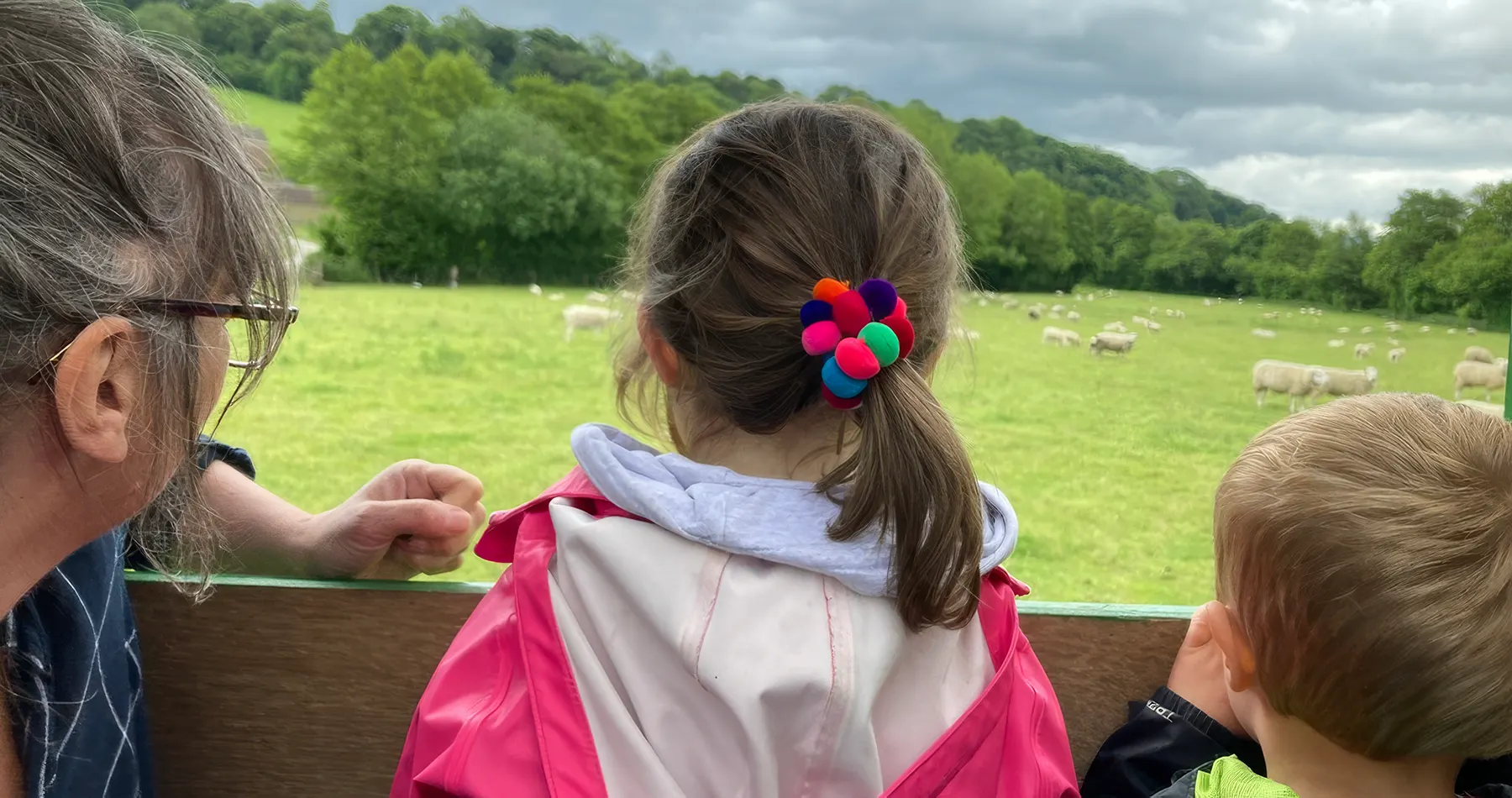 Pinstone's communications campaign opens new gates for Open Farm Sunday