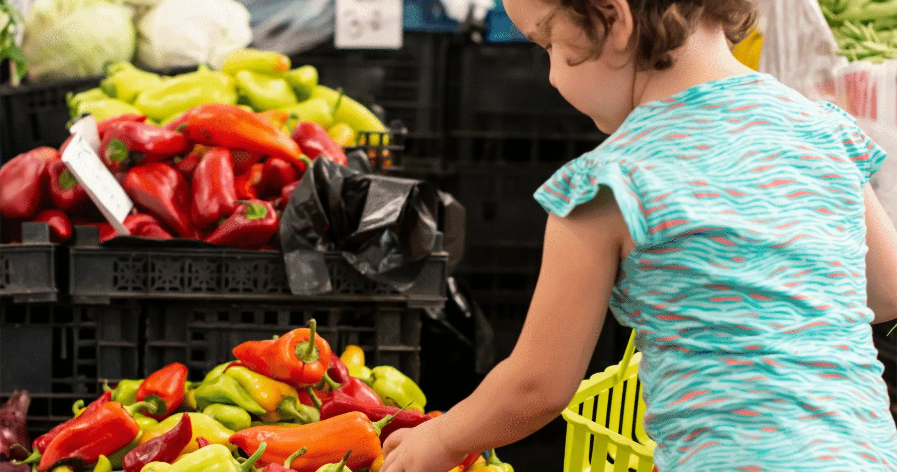 Agri Food Sector: Why is Veg Power so successful