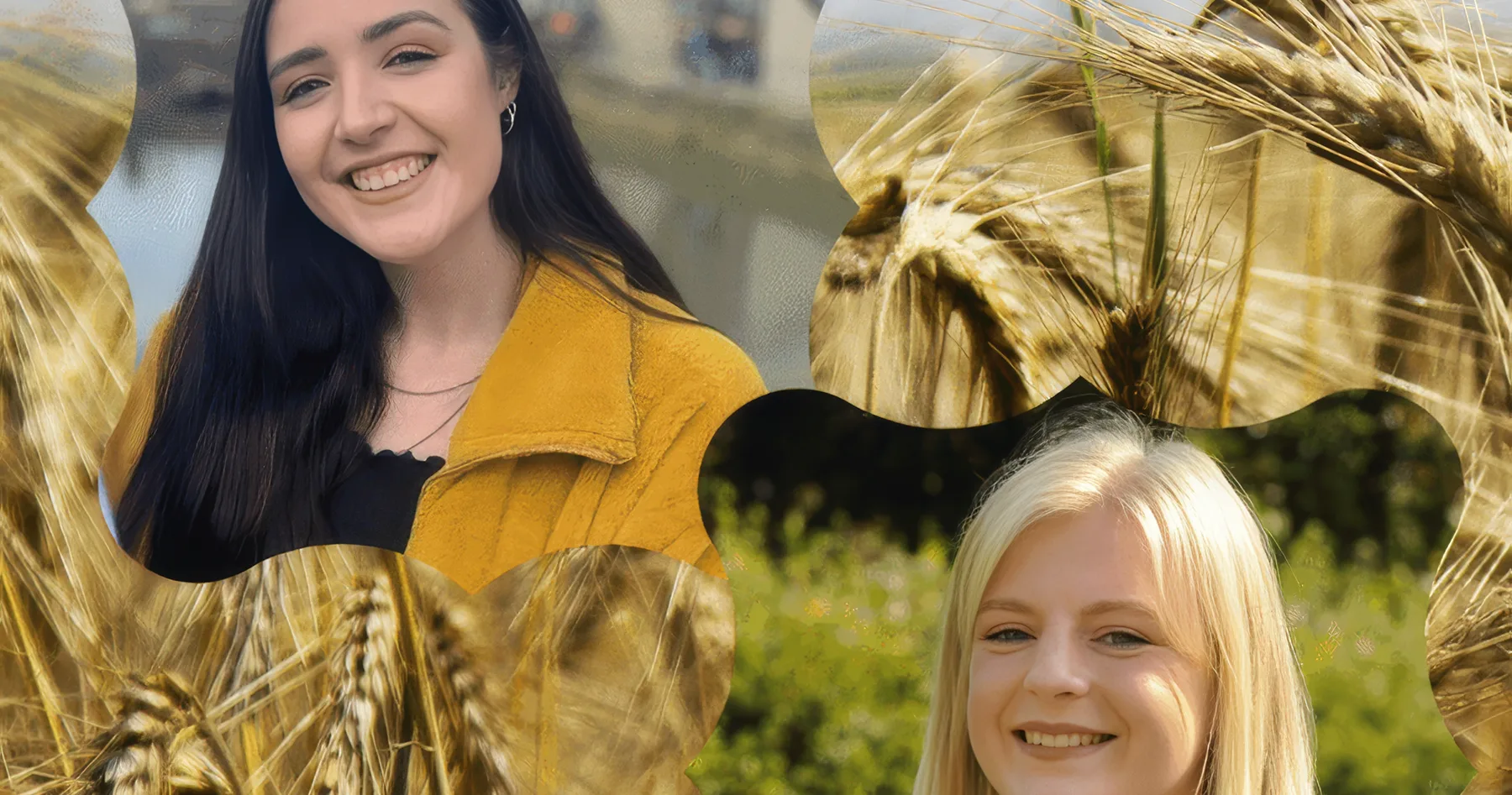 Kickstarting a career in agri comms