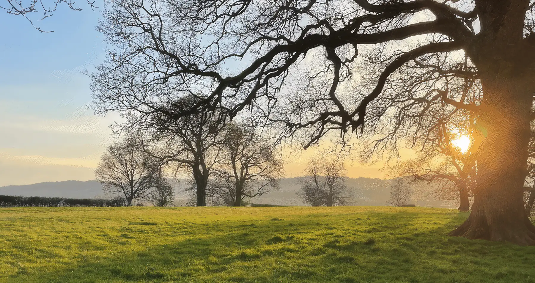 Rurally based PR career and positive mental health