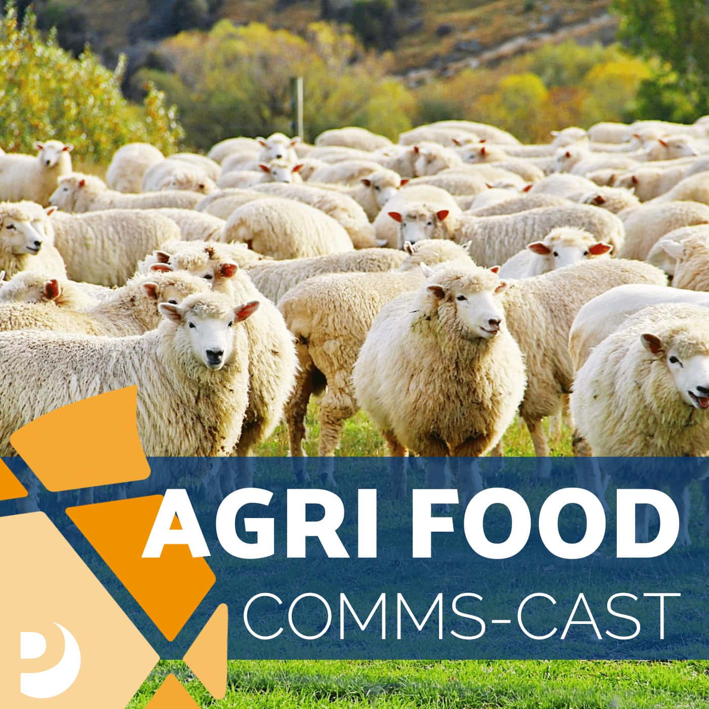 Agriculture & Horticulture Development Board's Ballot