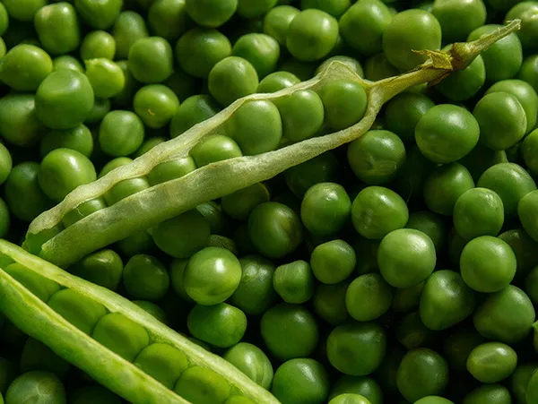 Pinstone are hap-pea to support Great British Pea Week 2023