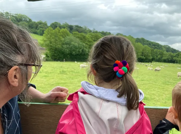 Pinstone's communications campaign opens new gates for Open Farm Sunday