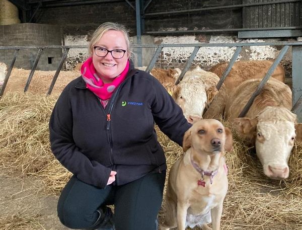 Keeping content fresh – how to re-invent agricultural PR content year on year