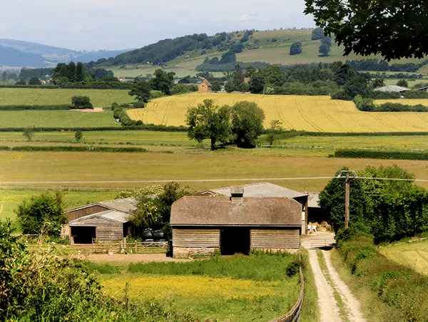 Young people are the future of rural communities