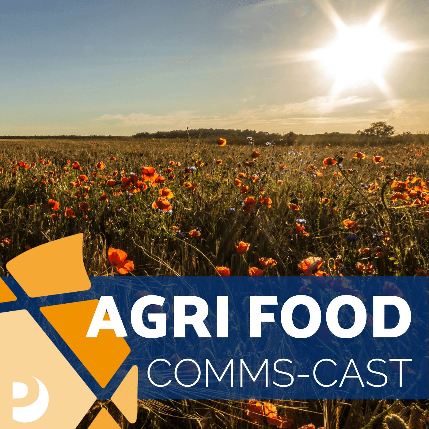 Brand communications with purpose