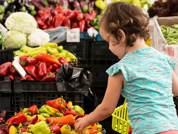 Agri Food Sector: Why is Veg Power so successful