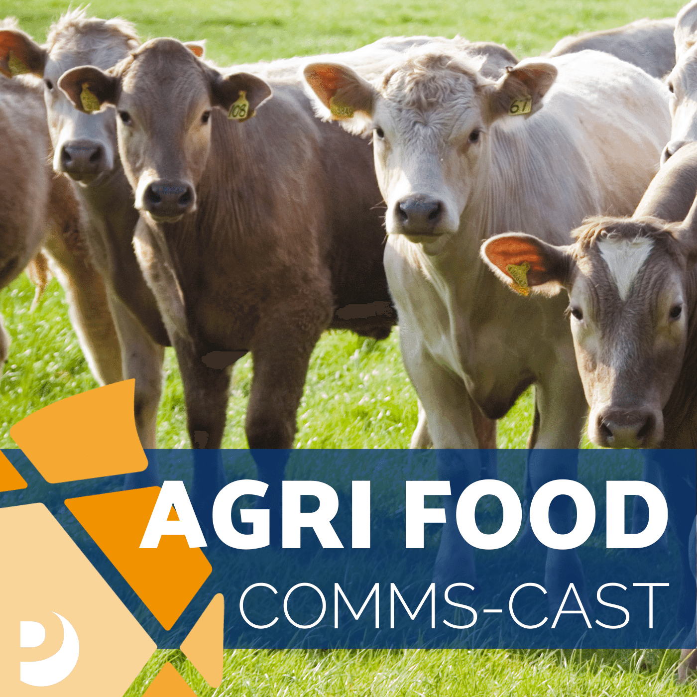 Communicating environmental issues and the net zero message