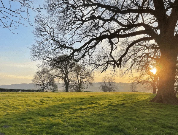 Rurally based PR career and positive mental health