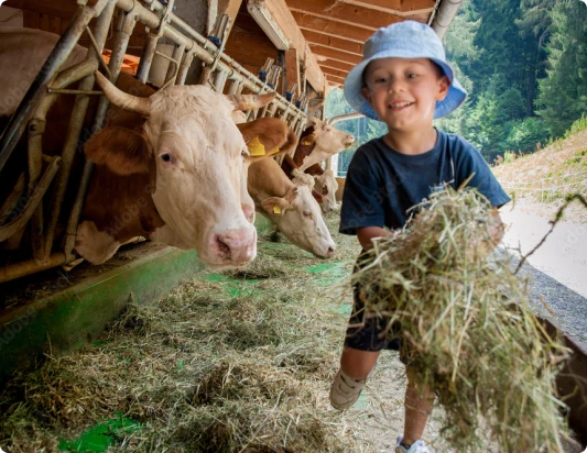 Open Farm Sunday