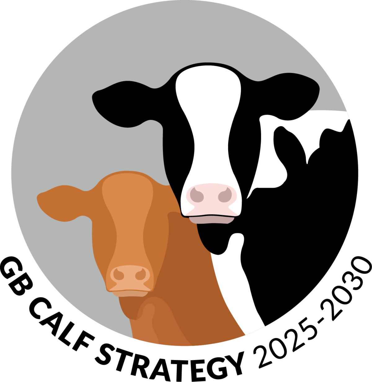 GB Calf Strategy 2025-2030