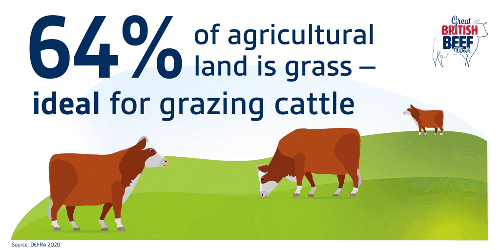 Great British Beef Week