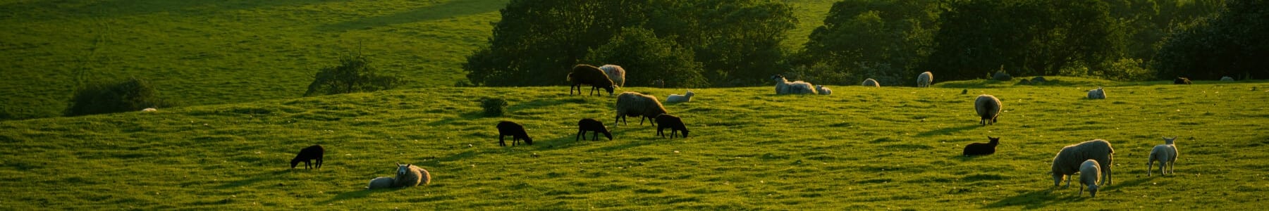 Farm and farming audience banner