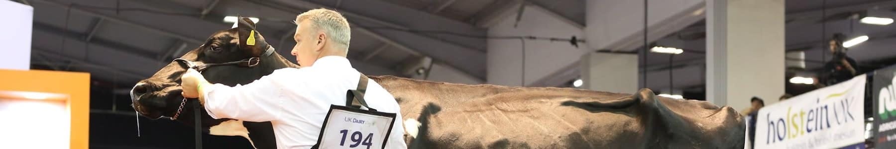pinstone-uk-dairy-19-1