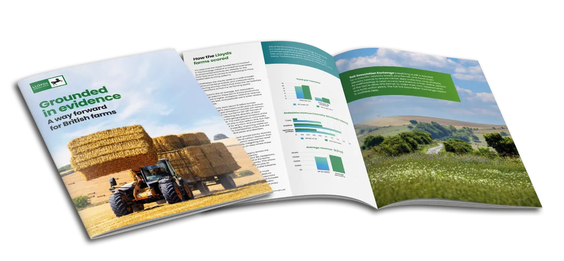 Info package brochure for lloyds