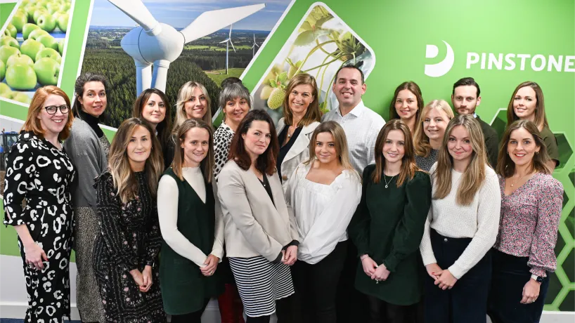 the pinstone team showing a wealth of experience