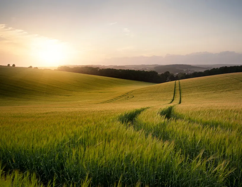the sun rises over a beautiful agricultural farming scene