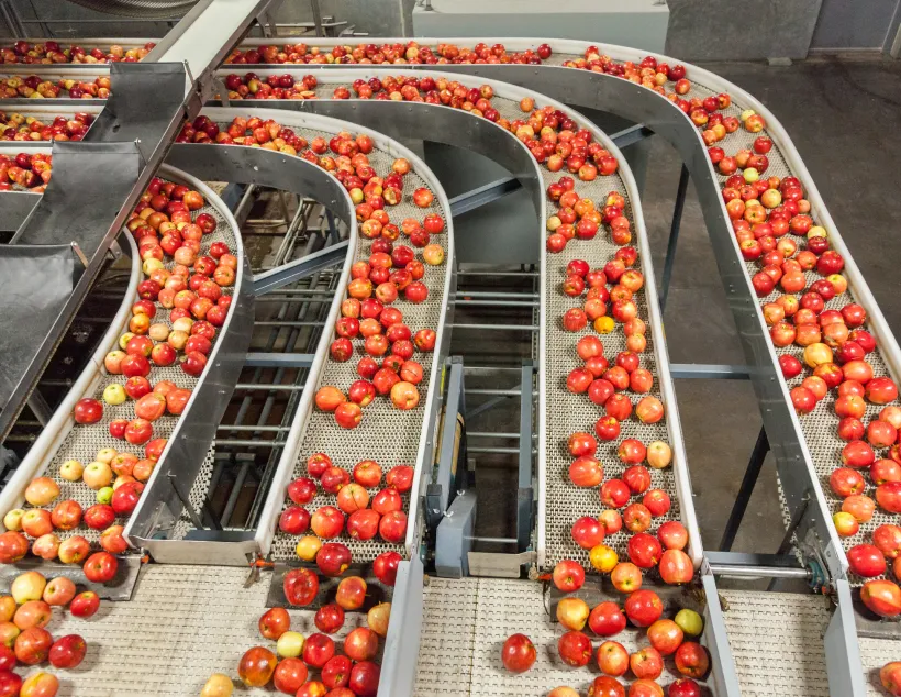 A food supply chain in action