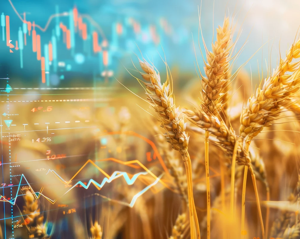 Farm finance