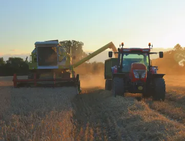 Combinable crops