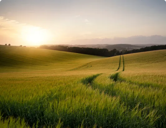 Farming