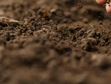 Soils