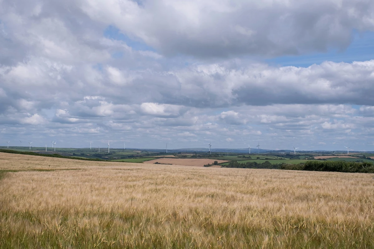 Crop protection