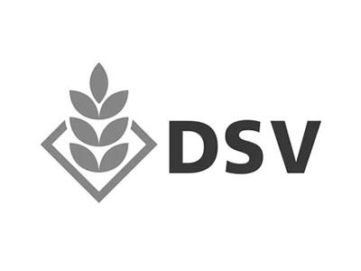 dsv