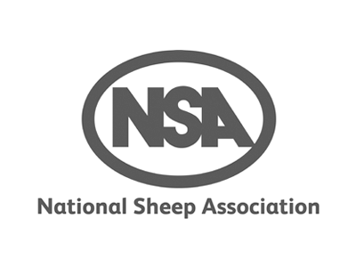 nsa