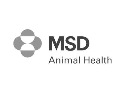msd