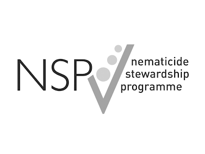 nsp