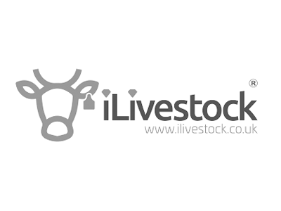 ilivestock