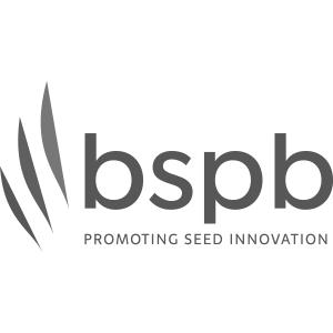 BSPB