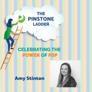 Pinstone Ladder Amy Stinton