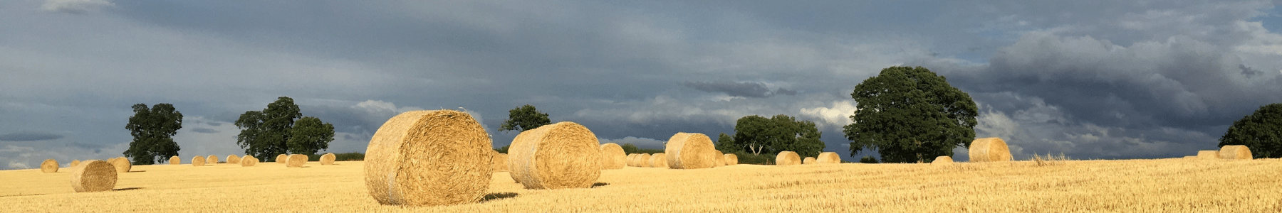Mental health in agriculture